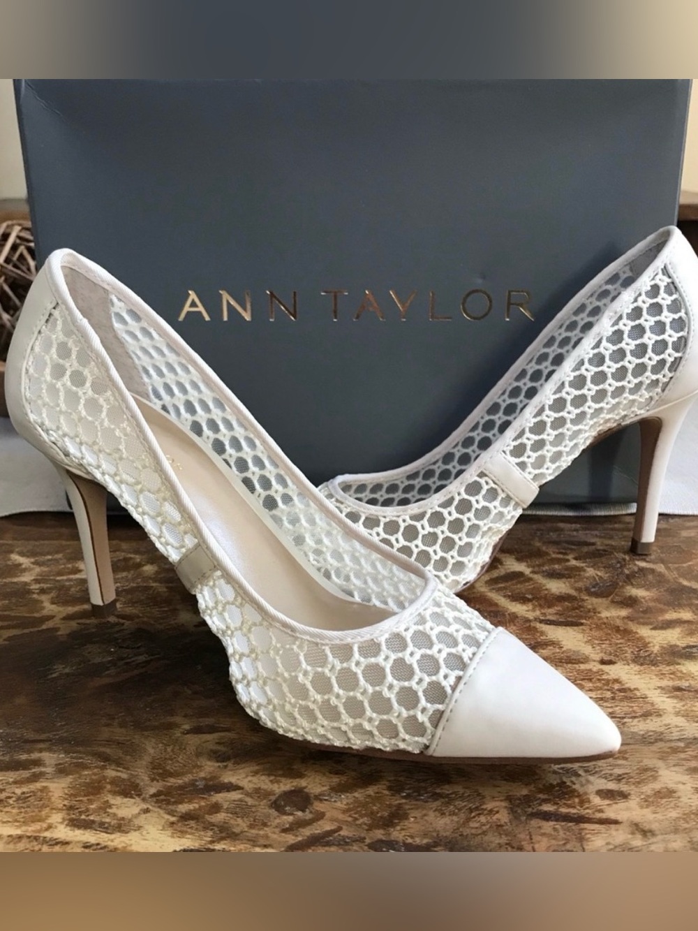 Ann Taylor Mila Mesh Pointed-Toe Pumps